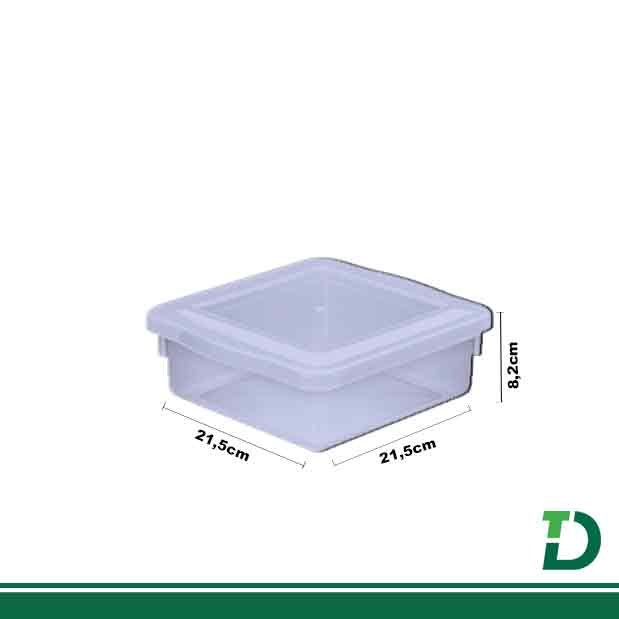 Caixa Organizadora com Tampa PLAION Biopratíka 2,5lts Ref: 0707